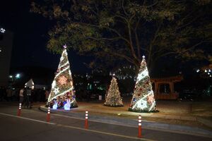 고창군, 군민행복 활력고창 대도약 위한 희망트리 점등