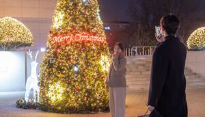 전북대 캠퍼스에 불 밝힌 대형 크리스마스 트리