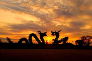 김제 벽골제 쌍용 일출